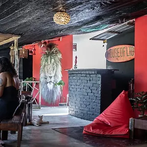 House Of Lion Malaisie